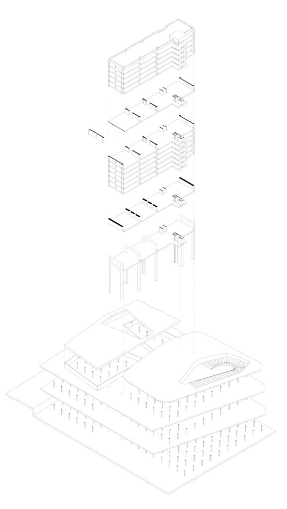 01. edl axo structure 1.500